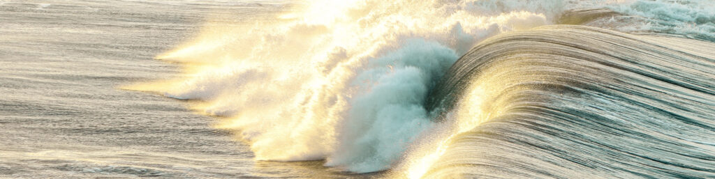 Photograph of a wave breaking.